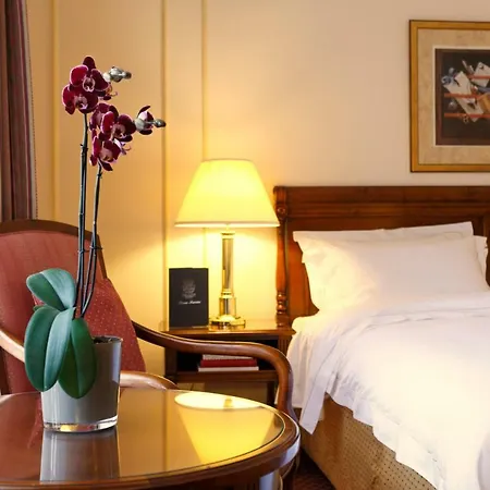 Hotel Le Plaza 5*